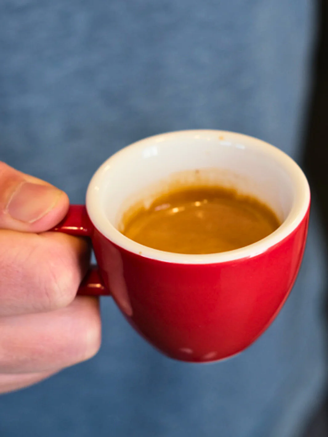 ACME Classic Mini [Demitasse] Cup (70ml/2.40oz) - Image 19